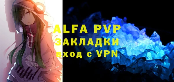 прущие грибы Белокуриха