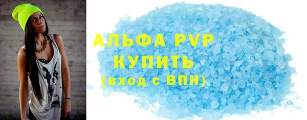 прущие грибы Белокуриха