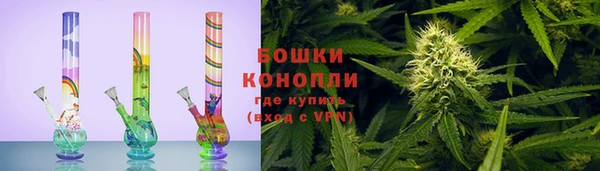 прущие грибы Белокуриха