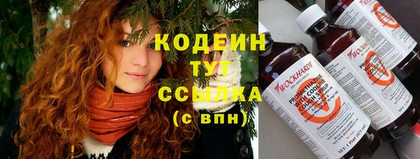 прущие грибы Белокуриха