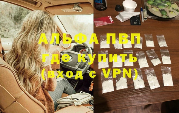 прущие грибы Белокуриха