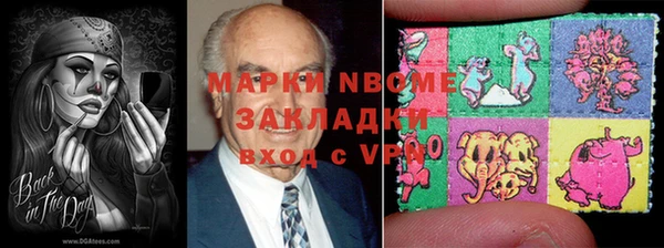 прущие грибы Белокуриха