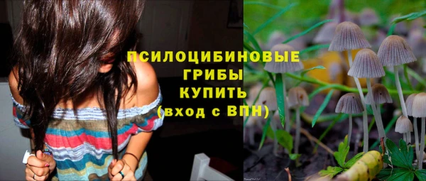 прущие грибы Белокуриха