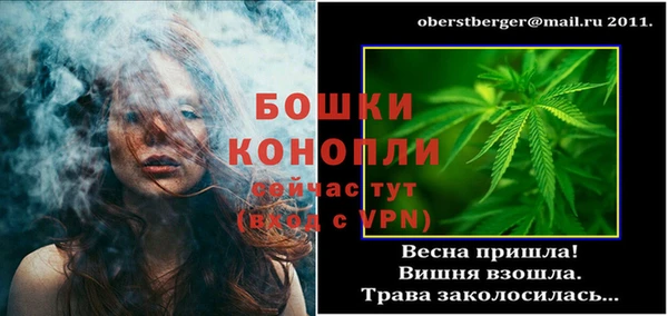 прущие грибы Белокуриха