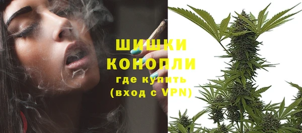 прущие грибы Белокуриха